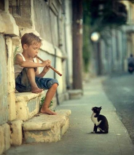 SoundHoundApp's tweet photo. Give #music to the one's you love! https://t.co/nO4yv97NQn
