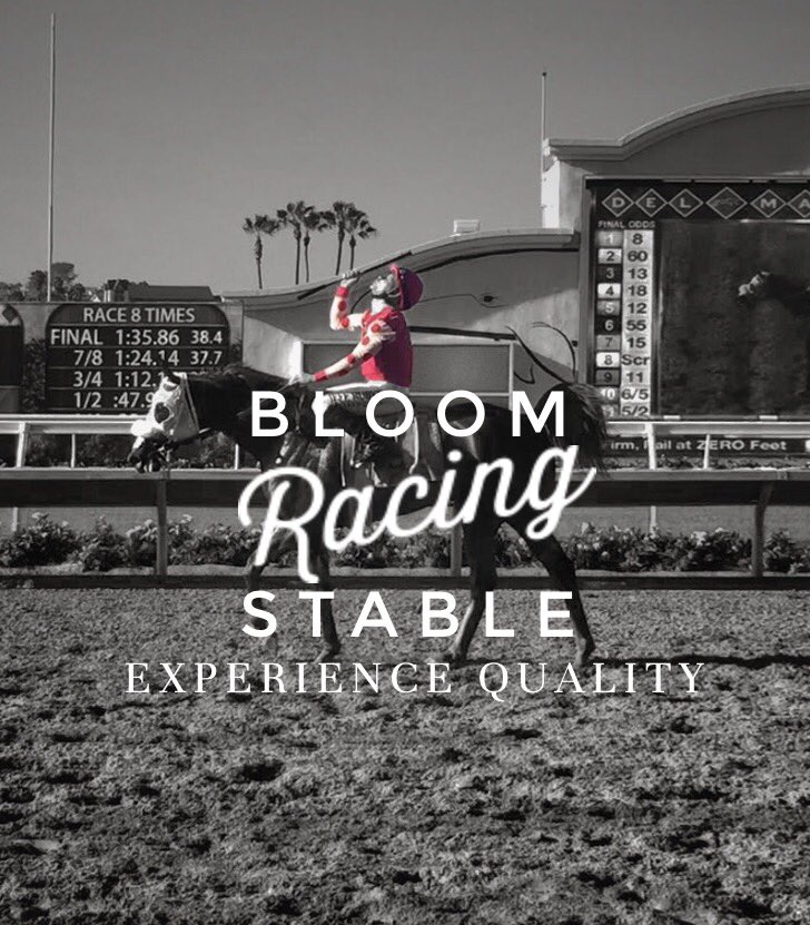 Bloom Racing Stable on Twitter: 