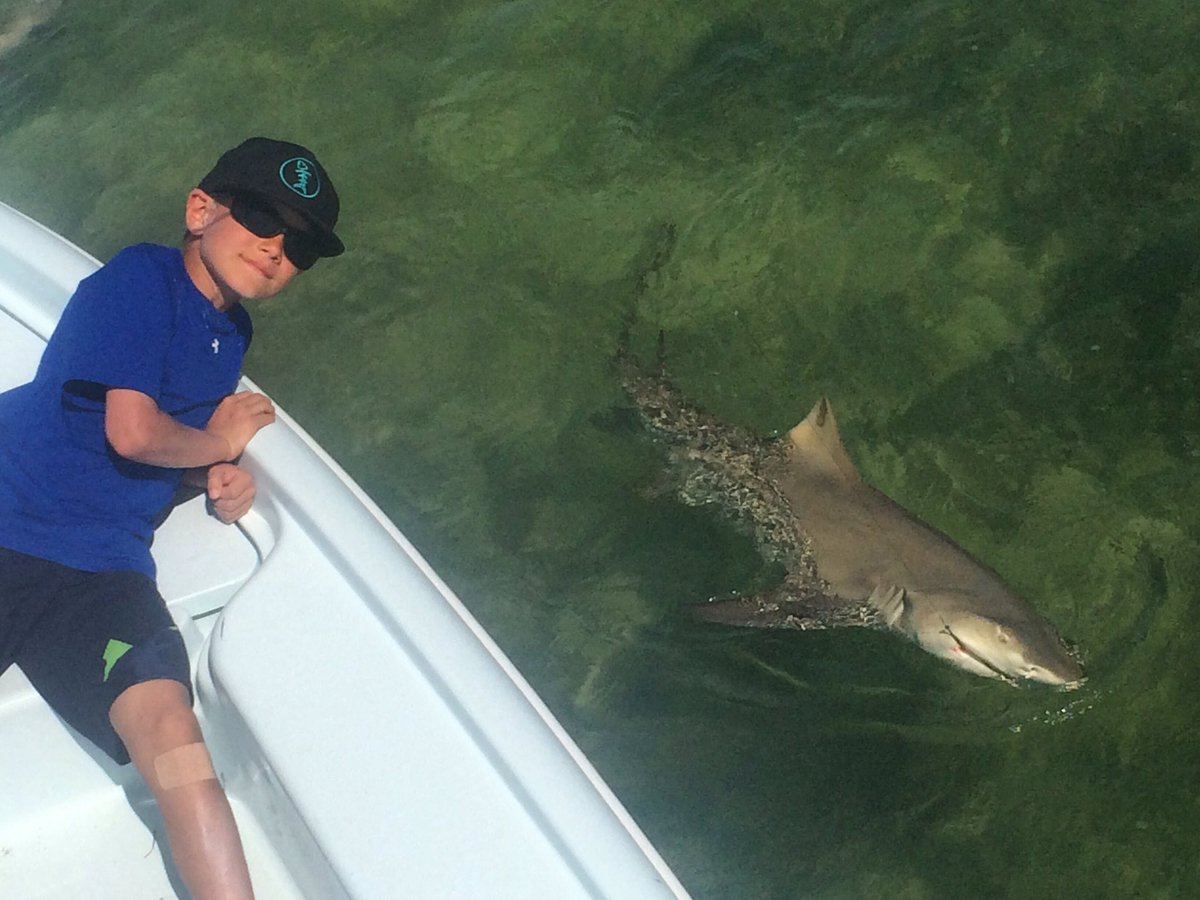 SaltwaterExp's tweet image. Reed Tudor, 8 year old shark wrangler. @BassProShops @thefloridakeys @HawksCayResort