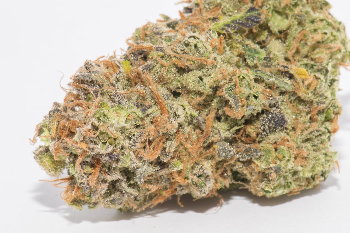 DawgStarWA's tweet photo. Have you voted in @DOPE_Magazine People's Choice Award? Our Blueberry is a candidate! https://t.co/F7R16EHG9B https://t.co/88Imi234Lb