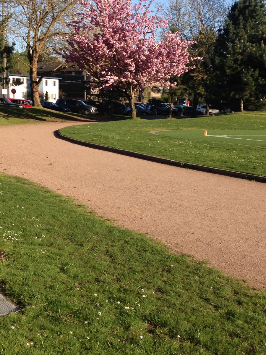 denisegeroux's tweet photo. First day of walk/ run track practice!! We meet every Thursday, 6:30pm-8pm, Lower Woodland Track, Seattle. https://t.co/vrdPP13m8Y