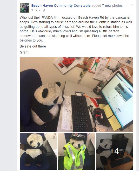 NewRhon's tweet photo. OMG!! @JeremyReesnz @nimbiwit #MissingPanda #BeachHavenCommunityConstable https://t.co/uOXj6Sx3yB