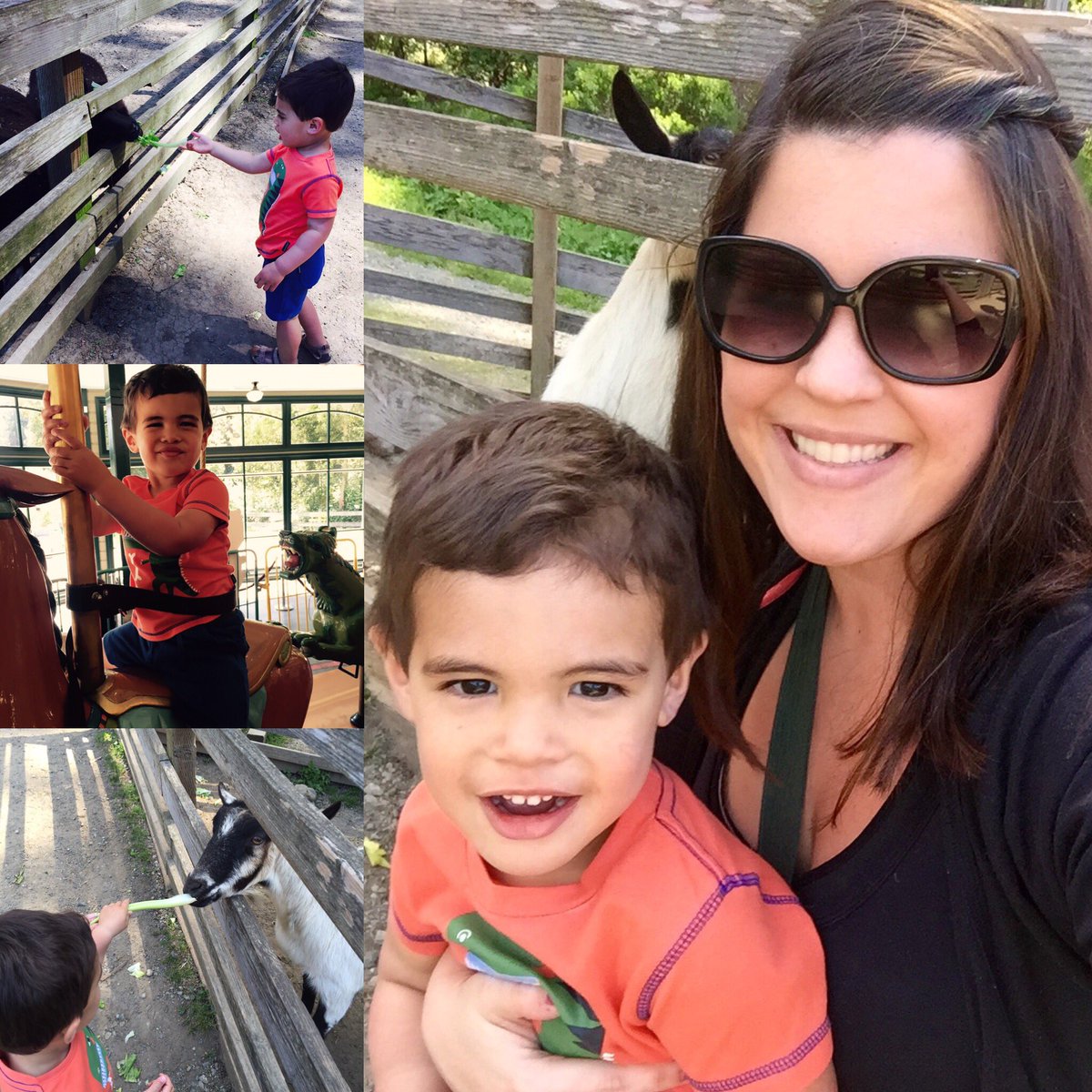 StephAnderson02's tweet photo. Last weekend's fun at the #TildenPark Little Farm and Merry Go Round. 🎠  #thankyouthursday #momlife #toddlerfun 😍 https://t.co/BWl5uqn6Ly