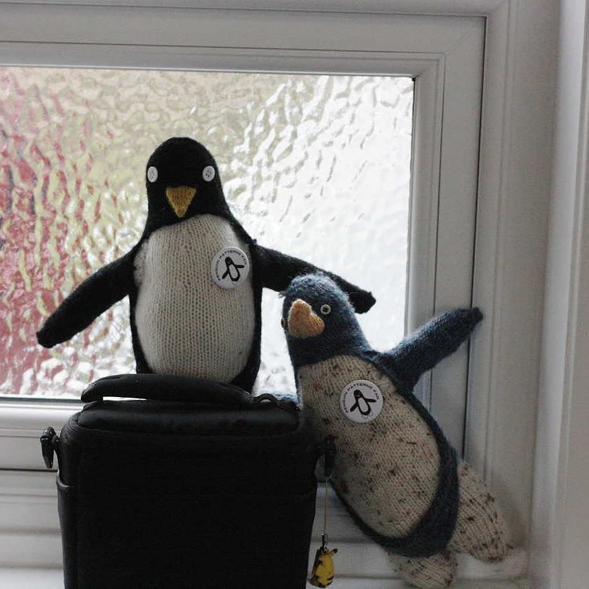 DragonwoolSheep's tweet image. from fluphshop :: Winona and Aunty Dillis just chilling out with their @sweaterspotter #penguinpattern badges. &amp;lt;3 t…