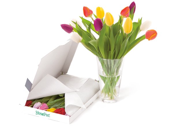 In de lente kunnen tulpen niet ontbreken ds1.nl/c/?wi=165786&s…