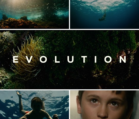 IndieWire's tweet photo. This mesmerizing trailer proves #Evolution may be this year's #UnderTheSkin. Watch here: https://t.co/dkbbPtdJbp https://t.co/uoZi5YmGBZ