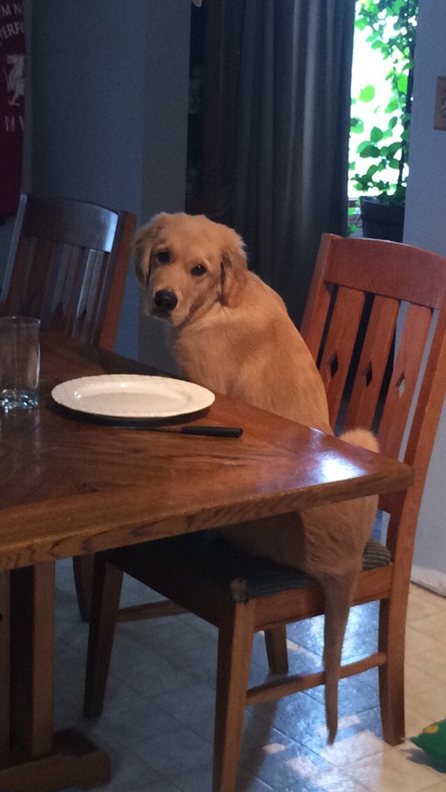 rachelherder's tweet photo. When your mom calls you down for dinner but it's not actually done https://t.co/GiNt7Q9bDA