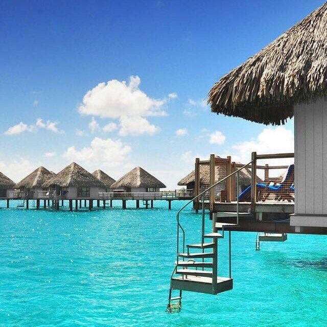 eoghanrd's tweet photo. Columbus, Ohio 😍😍😍😩😩💦💖 https://t.co/81rLoztM0v