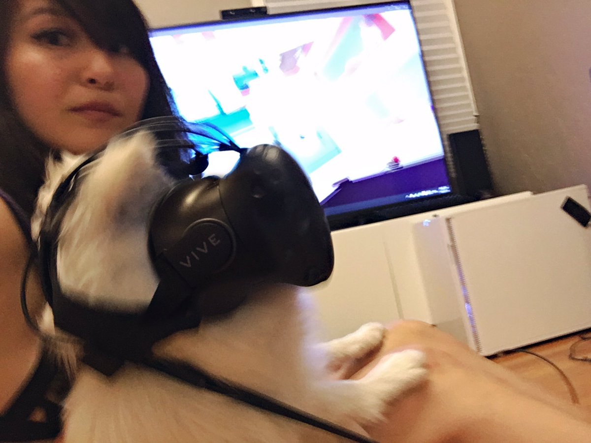 puffins's tweet photo. #VRdog gave the Vive a score of 6.5. it wuz felt soo real https://t.co/i0dP7cIn2F