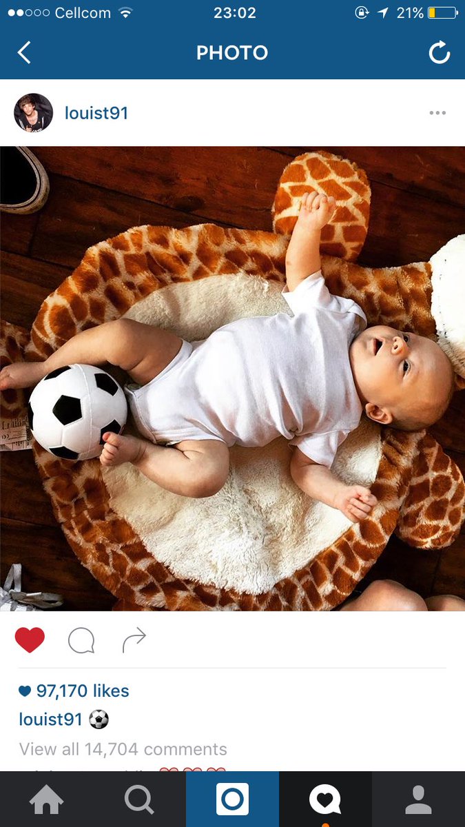 1D__Layouts's tweet photo. FREDDIE IS SO CUTE ❤️ #FreddieTomlinson #freddie #louis #daddylouis #dad #son #love @Louis_Tomlinson https://t.co/7k89cEpmf3