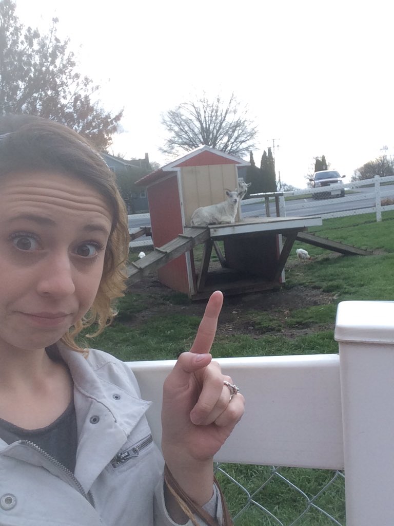 QuinnAFoley's tweet image. Just a couple of kids in Lancaster @FletcherTheGoat