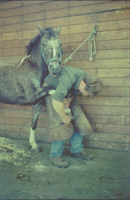 KwantlenU's tweet photo. Just another campus security horse back in 1986... #tbt #aprilfoolsisover https://t.co/6auKBAaY3x