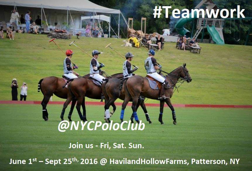 #NYCPoloClub #summerpolo 2016
