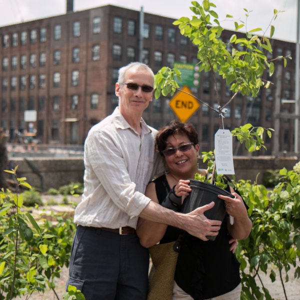 NYRP's tweet photo. Snag a #freetree on 4/16 w @NYRP @CompostBrooklyn & @CMMathieuEugene from 12-2pm! Register: https://t.co/JoAT85VBj2! https://t.co/AVXowyxcVi