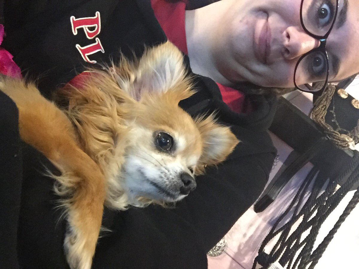caliwells's tweet photo. She wanted to sit on my lap. https://t.co/jFZ92IQgH6
