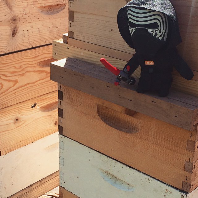 GTTFBeeCo's tweet photo. for their amusement, but mainly for mine #beekeeper #starwarsnerd #kyloren https://t.co/AYTQ6IT1EC