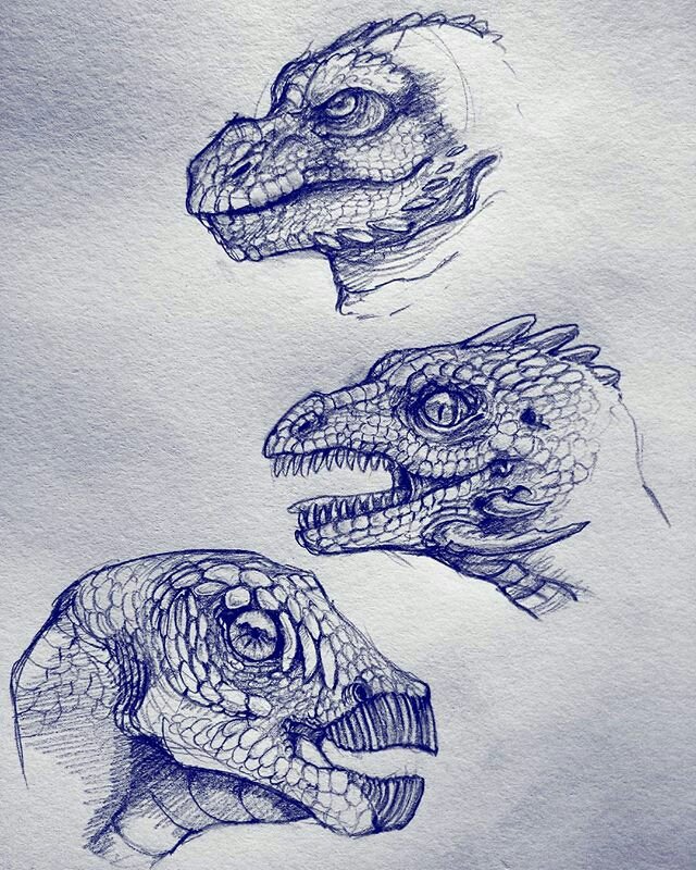 Daoneeyedbear's tweet photo. Just some doodles in my sketchbook #Drawing #Doodle #Artwork #Art #Sketches #Monster #Creature #Reptiles #Dragons https://t.co/4qWp49ZN7r