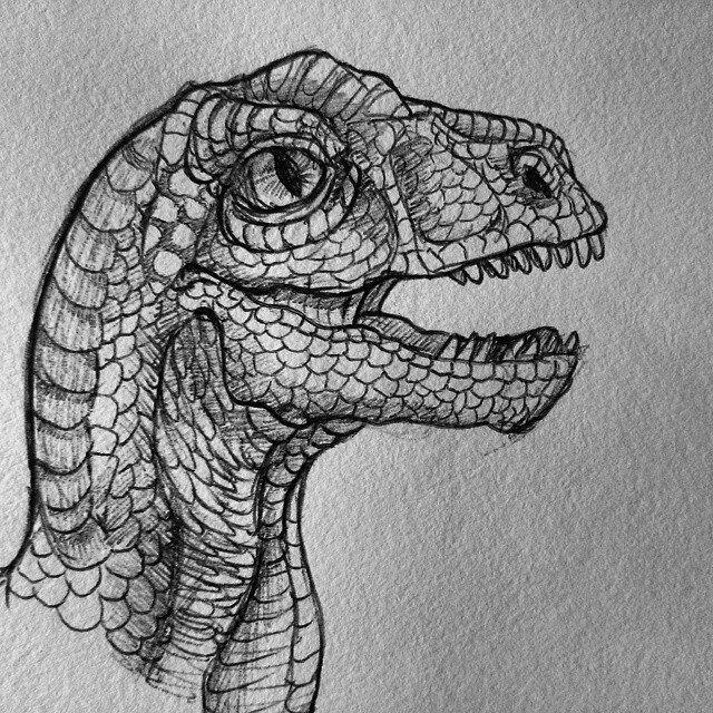 Daoneeyedbear's tweet photo. Just some doodles in my sketchbook #Drawing #Doodle #Artwork #Art #Sketches #Monster #Creature #Reptiles #Dragons https://t.co/4qWp49ZN7r