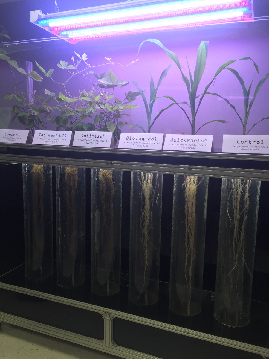 sreihm's tweet photo. Got to check out the Monsanto headquarters in STL today.  #seedtreatmentdemo #WIUAgLife .@WIUAg https://t.co/HmkIWwc74u