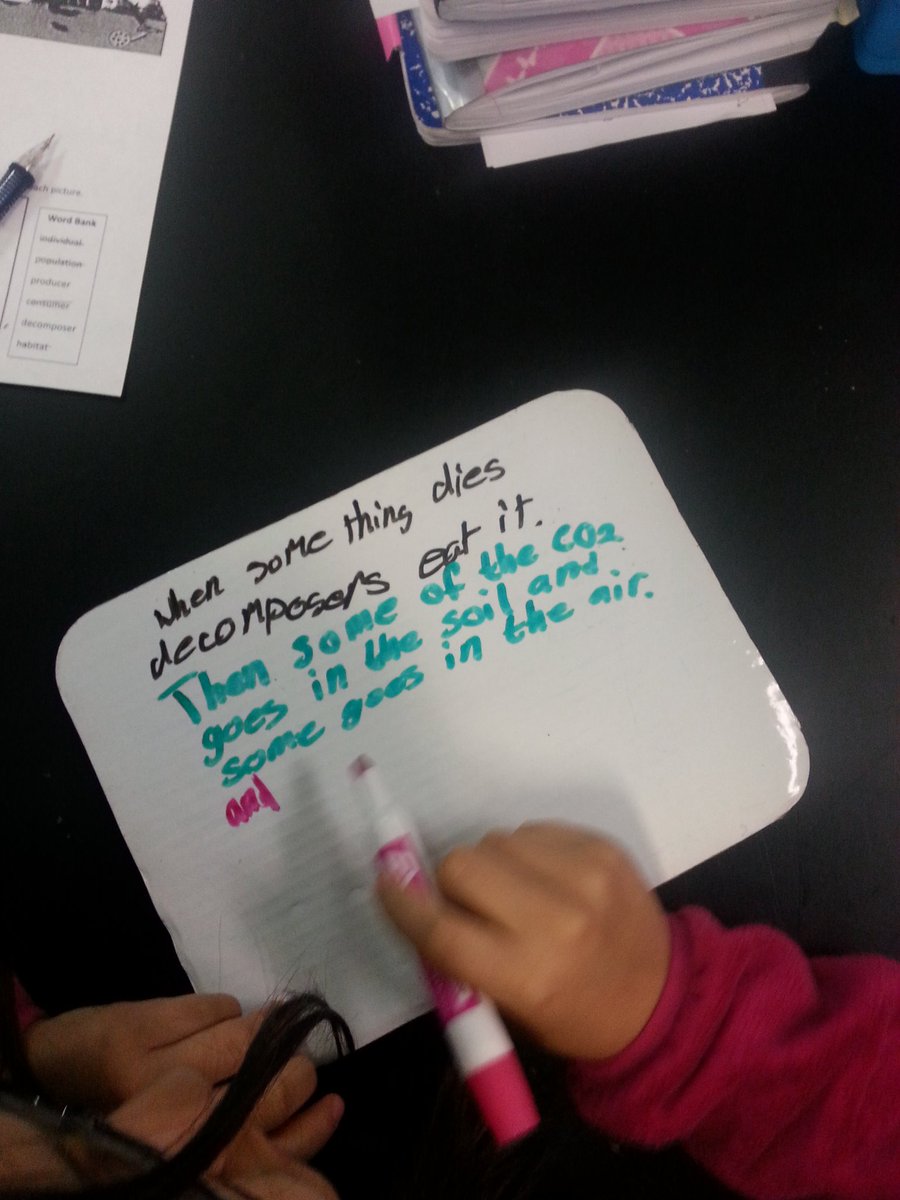 kamassie's tweet photo. #CISDGameOn #levelup How does the CO2 cycle relate to ecosystems? How could it change our environment. https://t.co/rH0TKW4QxQ