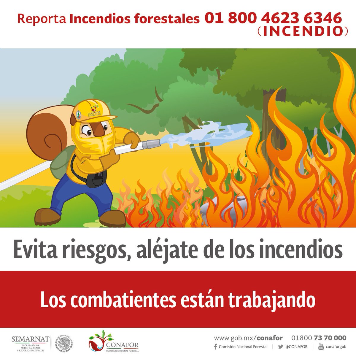 CONAFOR's tweet photo. ¡Ayúdanos a protegerte! Sólo combatientes de #IncendiosForestales están capacitados para enfrentar los siniestros. https://t.co/juW2dgbo7D