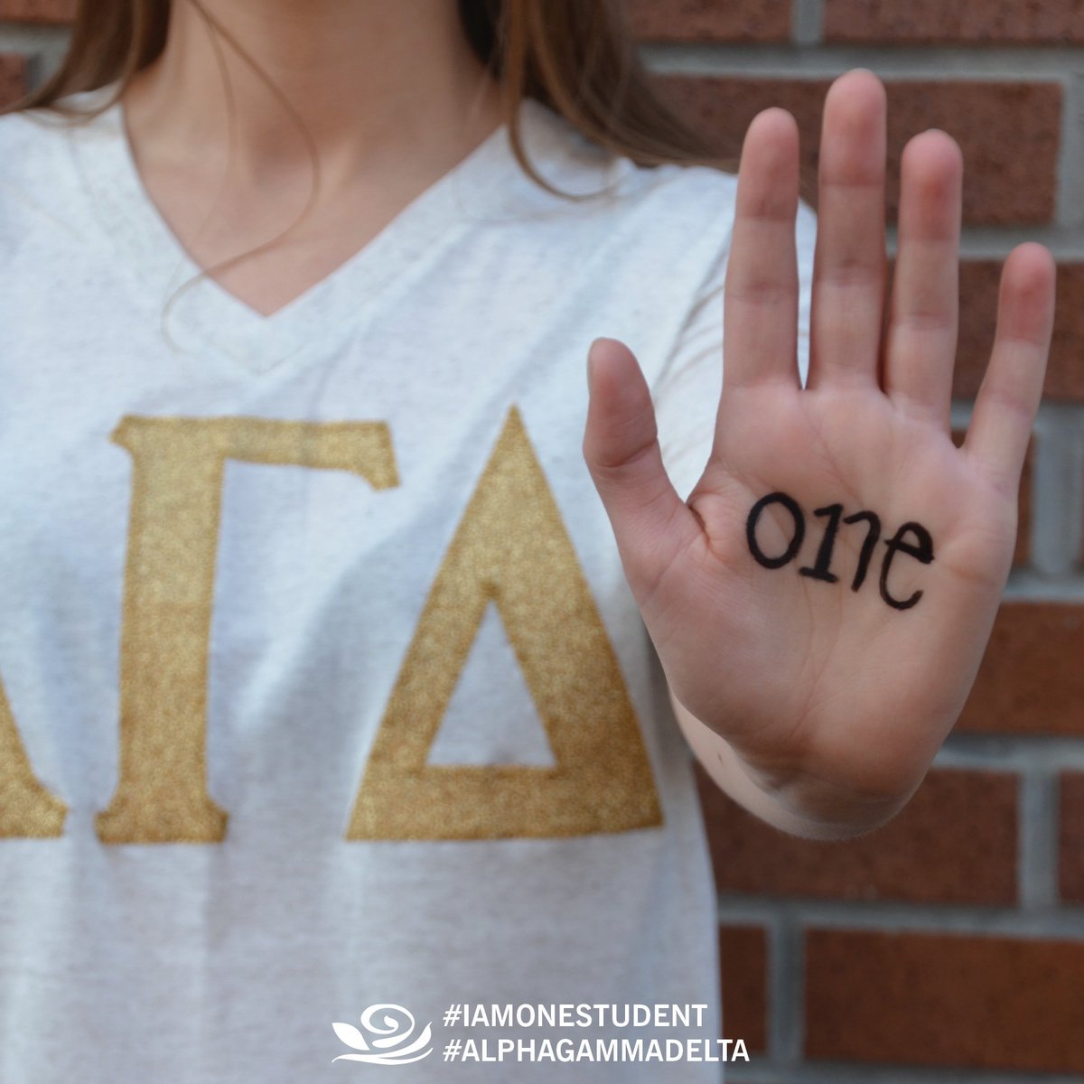 alphagammadelta's tweet photo. TONIGHT join @beccatalks & @kellyaddington for a webinar at 8p EST. #IamOneStudent #OneSisterAlphaGam @OneStudentOrg https://t.co/TvEpvag2S3
