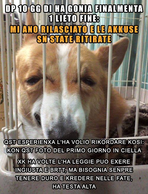 KANE SPLASCI LIBERO