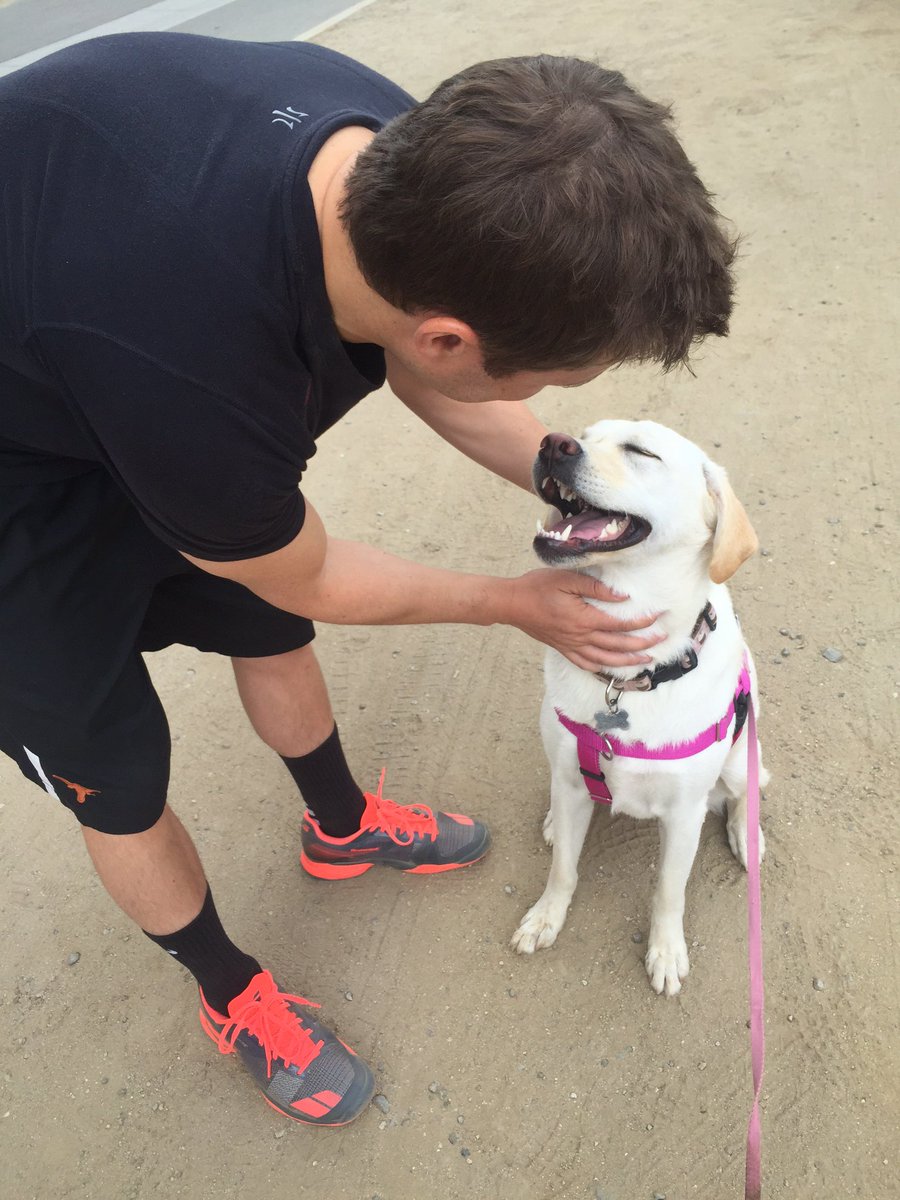 Steve_Weissman's tweet photo. My new @babolat Jets keep me #fastertotheball and help me keep up with the pup! (cc: @rhone) https://t.co/GhdKGJnTy1