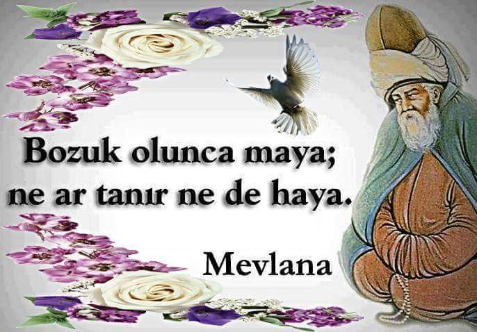 Allahim bizi hayasiz kişilerden korusun 
              iyi geceler