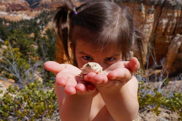 "Catching some much needed rays while enjoying the company of some Short Horned Lizards." 📷: <a href="/andshesdopetoo/">AndShesDopeToo</a>