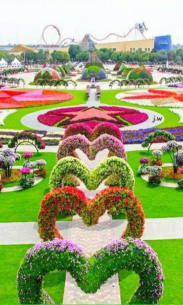 LoversofUAE's tweet photo. ⭐Dubai Miracle Garden @Dubai UAE⭐ Absolutely gorgeous!… – #Dubai Picture https://t.co/TnfYaBEat6 https://t.co/T8bWiyJxRG