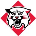 ItsStorytime18's tweet photo. Blessed to say I am officially committed to Davidson College to play college football 🏈🙌 https://t.co/d028drFS0t