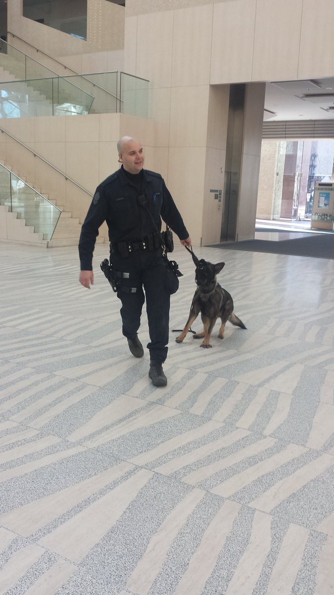 CityHallSchool's tweet photo. CHS &amp; #EJSchool witnessed the strong bond between #PSDFallon &amp; Cst Bryan. Thnks @EPSCanine for your ongoing support. https://t.co/S65H6Ow76O