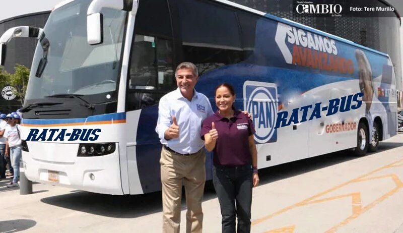 QueHablePuebla's tweet photo. Ya tiene nombre, se llama #RataBus @FerMaldonadoMX @AleMondras @SeleneRios @anaterearanda @fredyacob @pepechedraui https://t.co/5wty3WgBTl