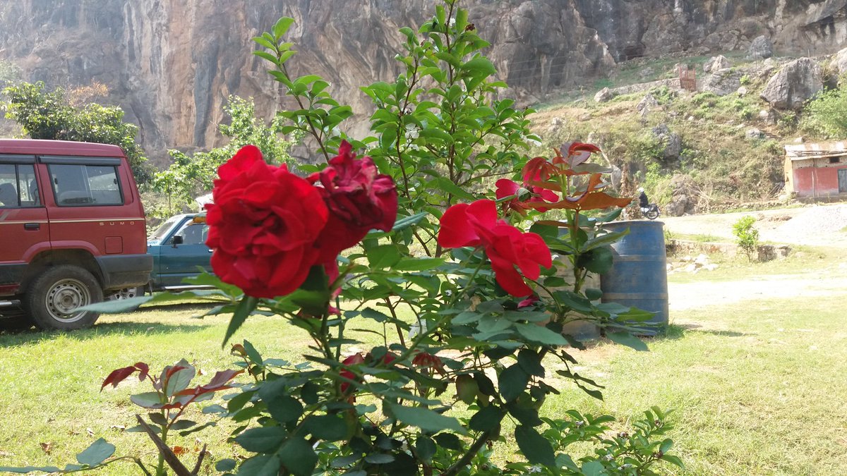 bhattarai_uttam's tweet photo. goodmorning ! #bimalnagar https://t.co/kcbl0anWxb