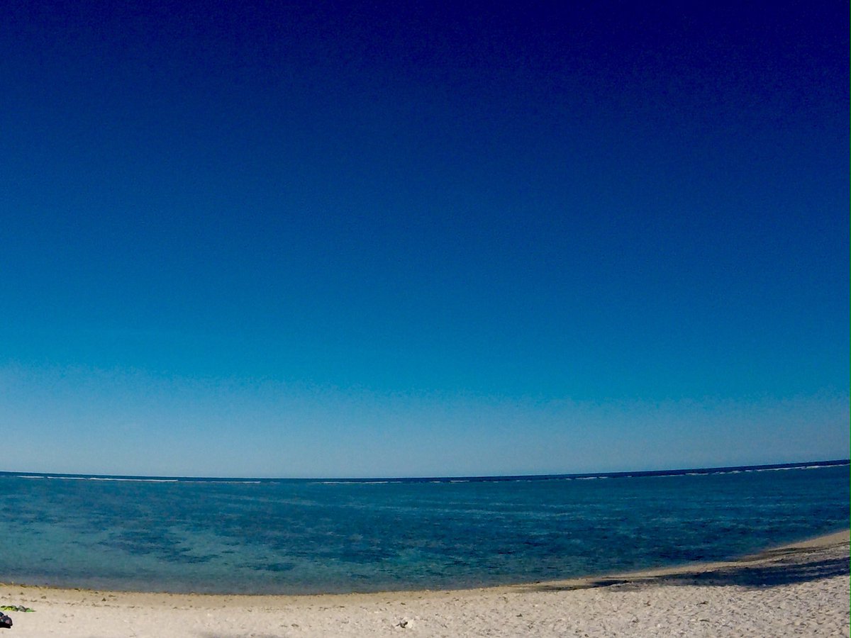 HelenRipper's tweet photo. Australia ☀️🐠🐬🐢😊 https://t.co/3KPJapJt3R