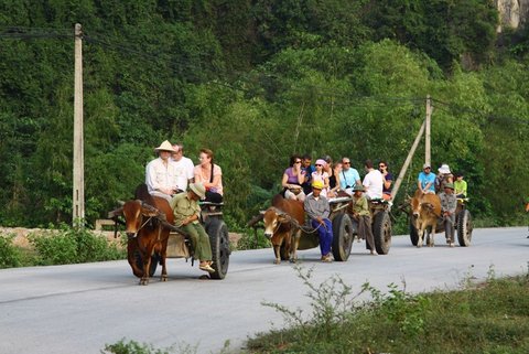 TourInsightNZ's tweet photo. Family Adventure 12D11N in #Vietnam. Connect with us on Facebook: Tour Insight for more details. https://t.co/weK9prZKeH