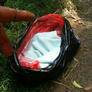 didinririn's tweet photo. Di ketemukan bayi di desa babatan kctan pangkur kab ngawi terbungkus plastik dipinggir jalan https://t.co/fwhbhmmnTz