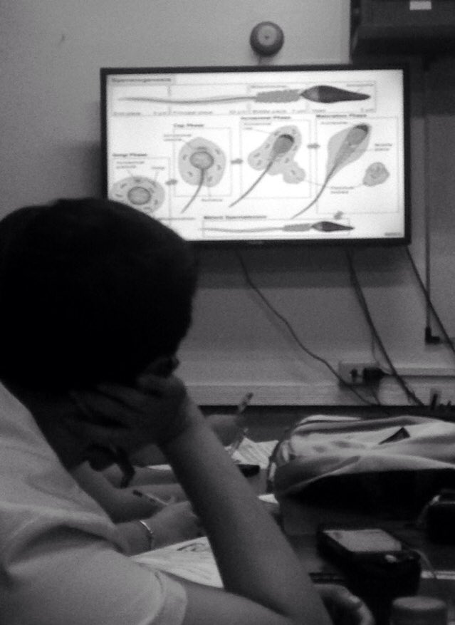 evezevangelista's tweet photo. Histo lec today entitled:
"All about Shamcey"
HAHA ππ #histology #MaleRepro https://t.co/yOAIrB5Gpp