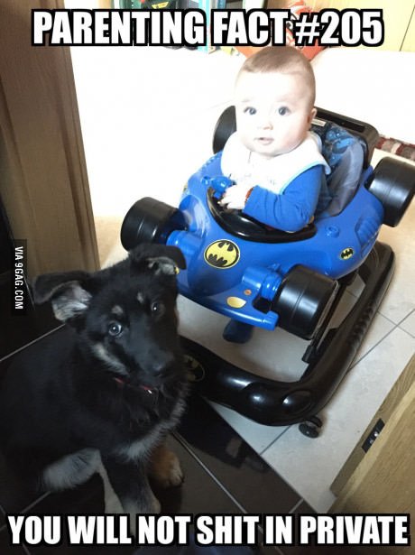 Eloise Gates tweet media