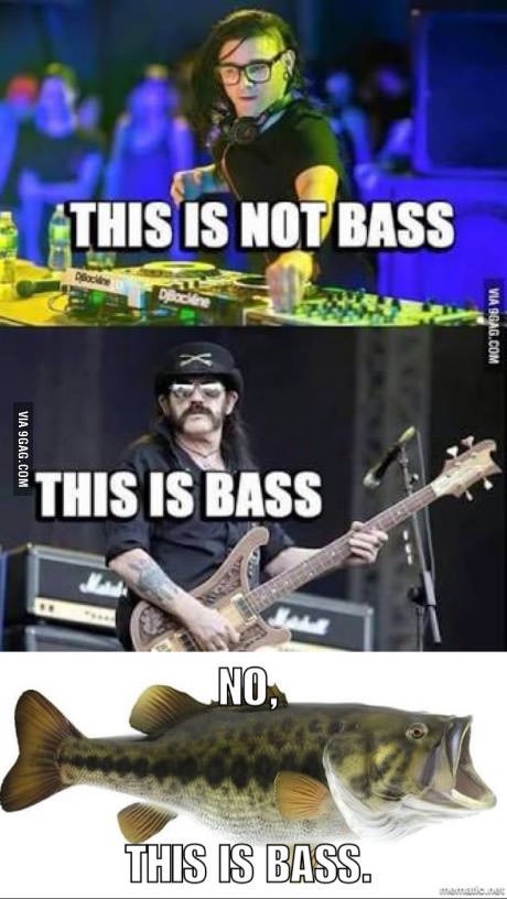 Eloise Gates tweet media