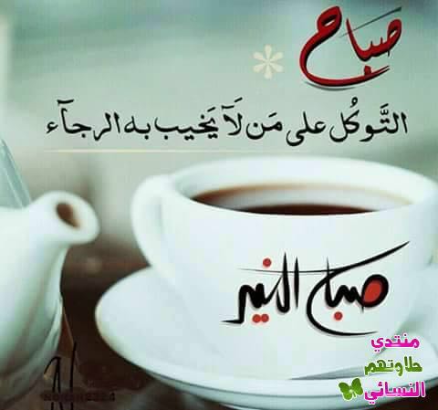 Omanaa3Off's tweet photo. https://t.co/p975Czmzjc