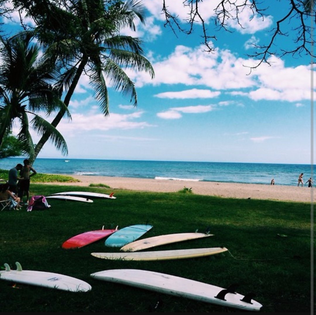 Adventurefull_'s tweet image. I NEED to go to hawaii once in my life 🌴🌊🐢