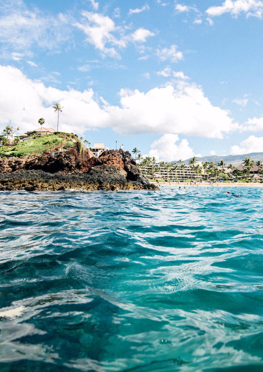 Adventurefull_'s tweet image. I NEED to go to hawaii once in my life 🌴🌊🐢