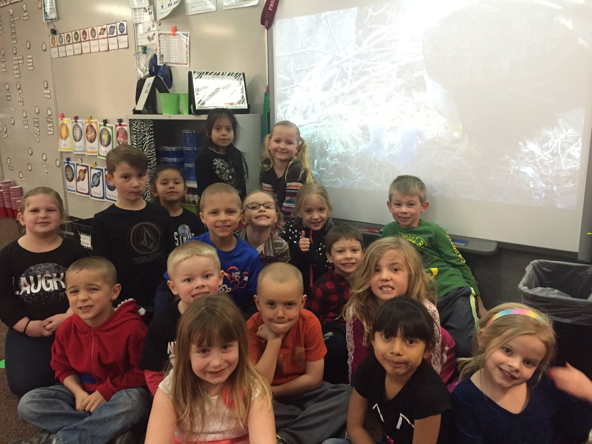 LinzkMrs's tweet image. Eagle cam with the new hatchlings! @CSEROCORI #cse2028 #csestrong