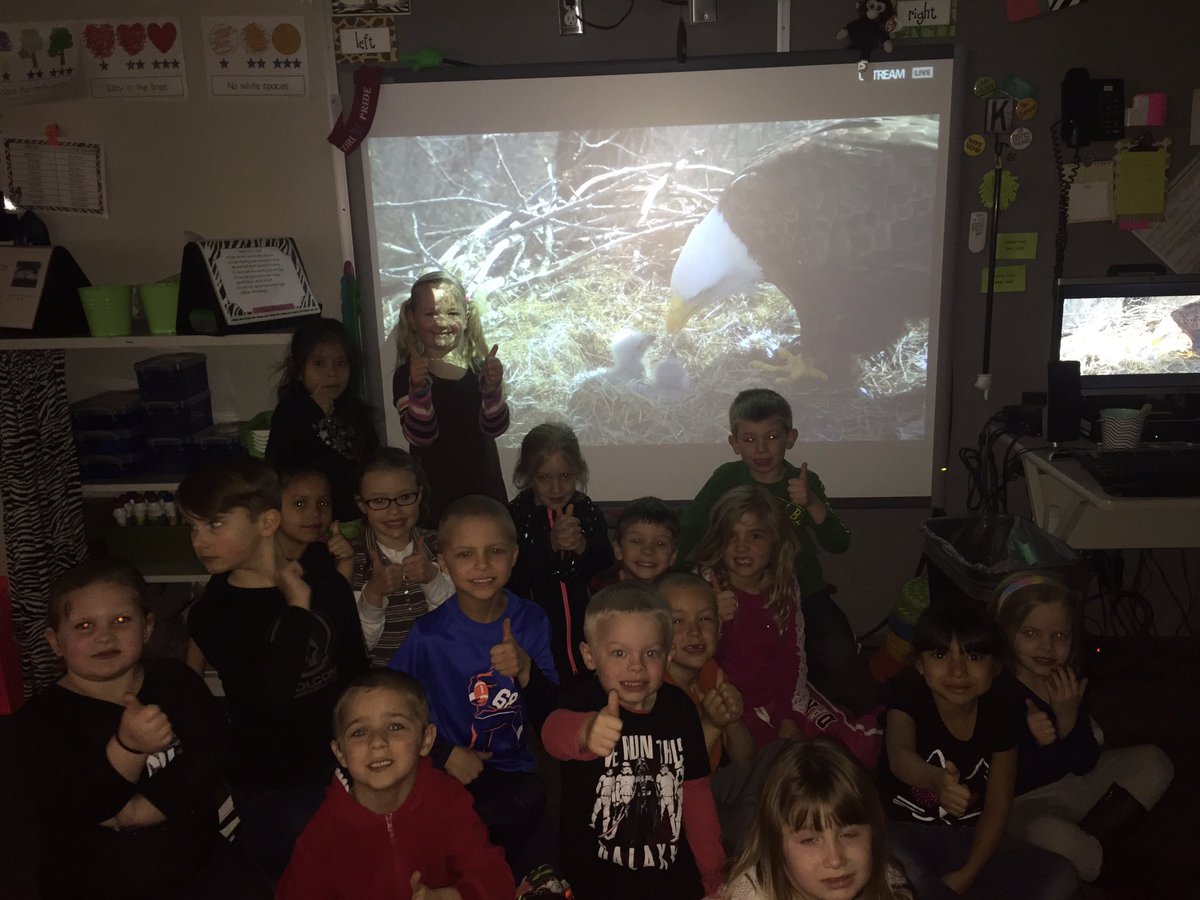 LinzkMrs's tweet image. Eagle cam with the new hatchlings! @CSEROCORI #cse2028 #csestrong