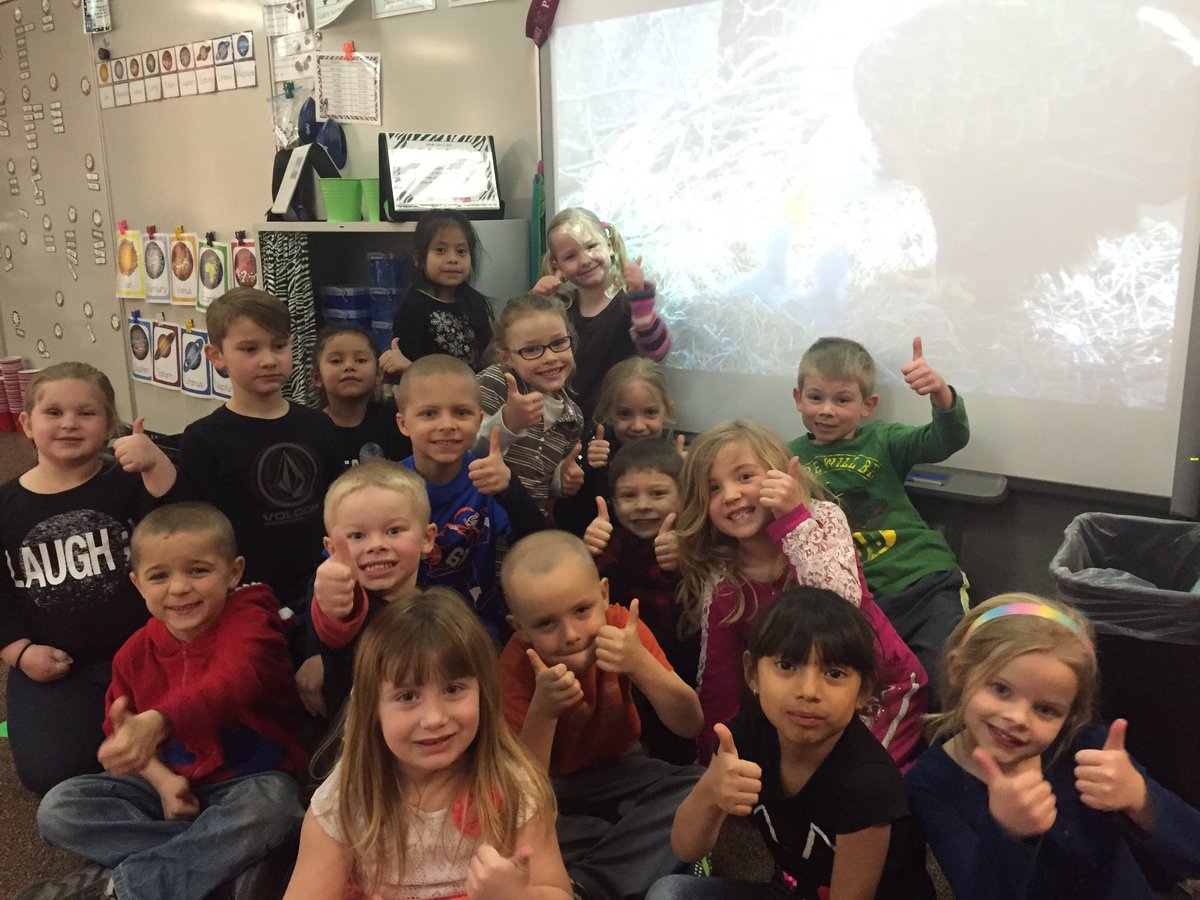 LinzkMrs's tweet image. Eagle cam with the new hatchlings! @CSEROCORI #cse2028 #csestrong