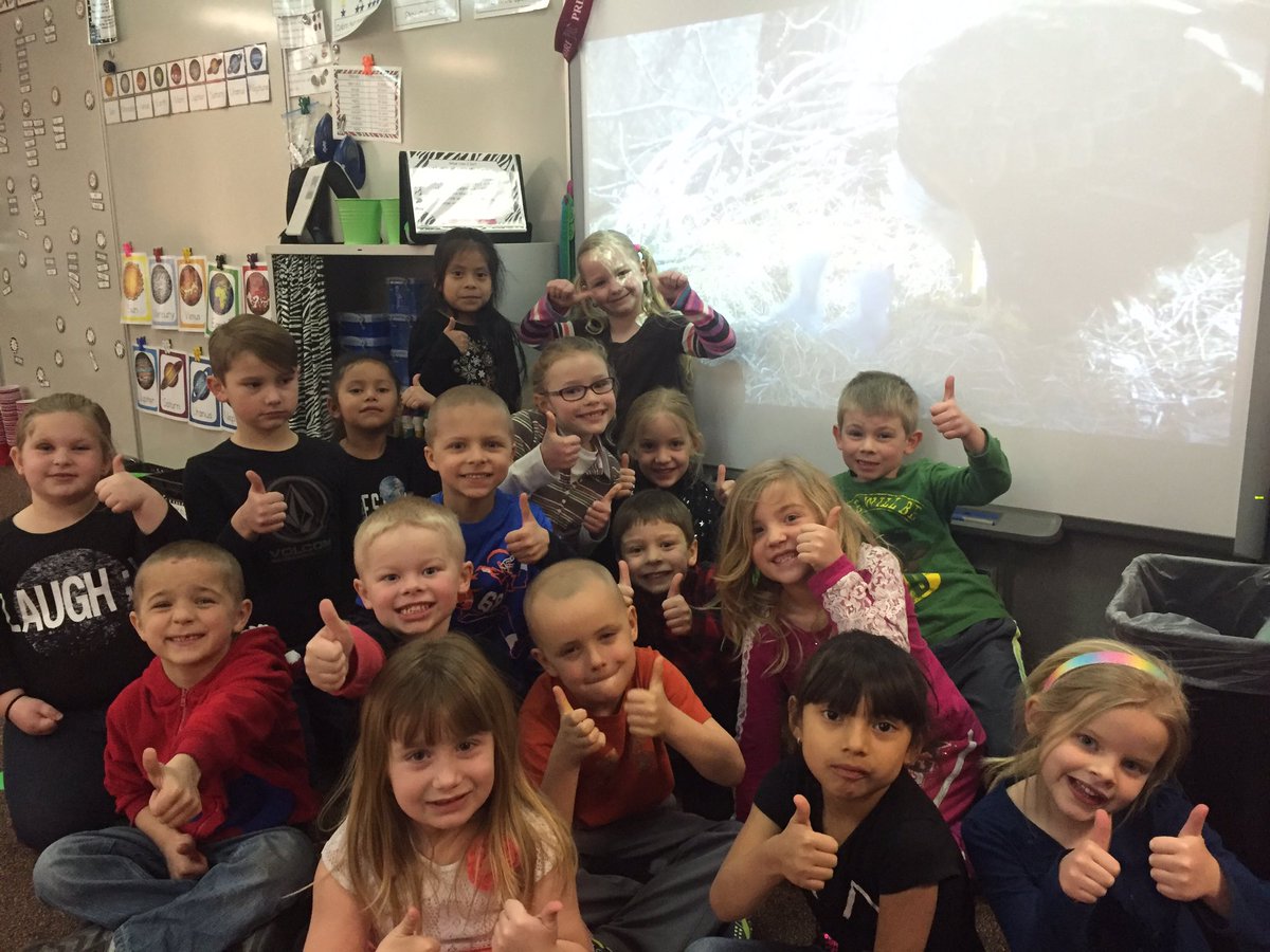 LinzkMrs's tweet image. Eagle cam with the new hatchlings! @CSEROCORI #cse2028 #csestrong