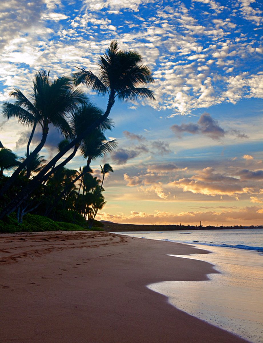Adventurefull_'s tweet image. I NEED to go to hawaii once in my life 🌴🌊🐢