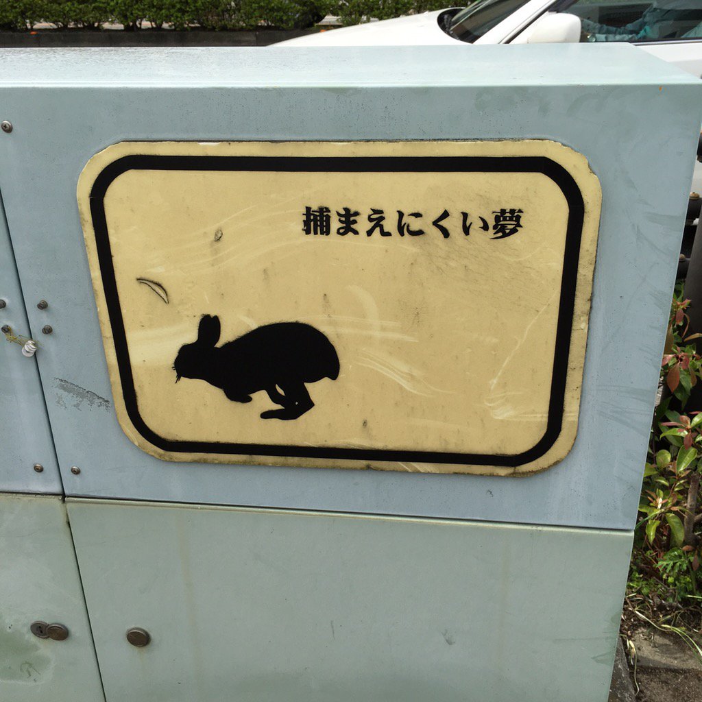 [uchincu] GuestHouse 【徳島】 tweet media